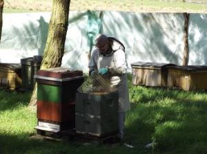 Koniec sezonu pszczelarskiego