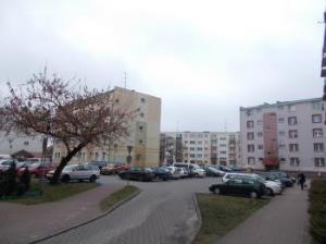 Leśne trolle z Kostrzyna